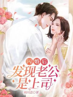 闪嫁高官最新章节深度探讨