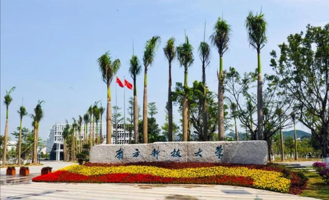 南方科技大学最新动态及观点论述