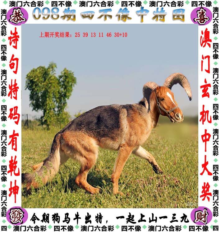 澳门四不像正版资料,高效运行支持_亲和版31.641