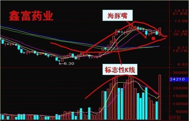 澳门三肖三码三期凤凰网,高效运行支持_先锋实践版49.828