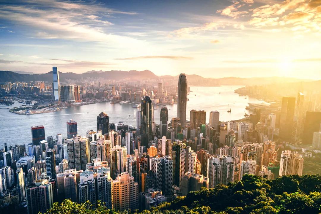 香港澳门资料大全+正版资料2023年龙门客栈,处于迅速响应执行_轻奢版93.908