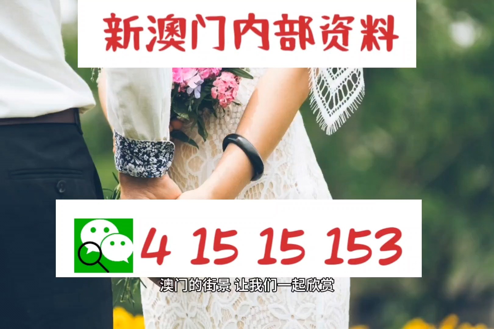 老澳门特马今晚开奖,精准解答方案详解_Phablet91.133