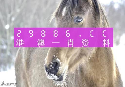 2024澳门一肖一码100准,全盘细明说明_品味版70.943