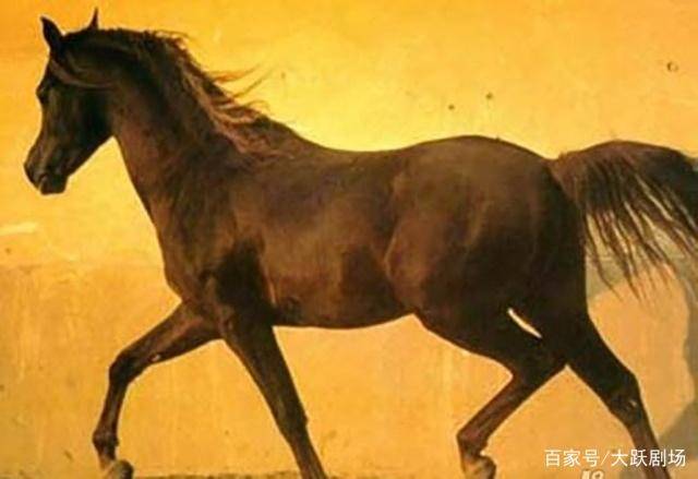 马会幺机三肖,,具象化表达解说_星耀版58.846