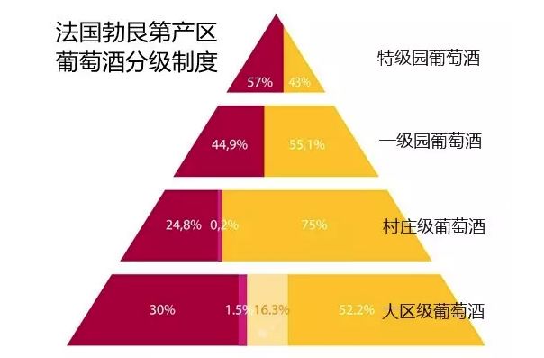 澳门今天晚上特马开什么,分析的全面解答_多功能版60.242