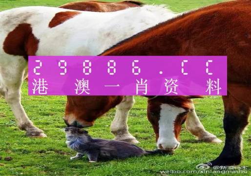 奥门一肖一码一中一,动态解读分析_影音版36.586