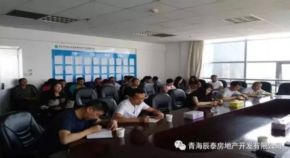 青海环保检查最新动态，巷弄深处的绿色瑰宝展现新成果