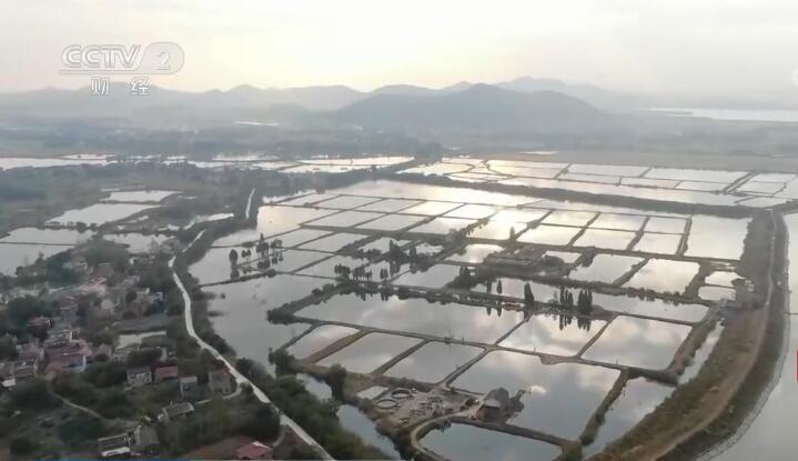 铜陵市枞阳高科技产品引领未来，点亮生活新篇章的最新新闻