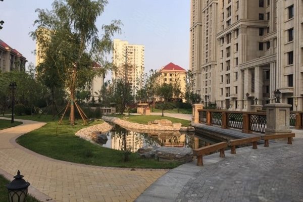 揭秘旺海公府最新价格走势动态，火热价格趋势分析！