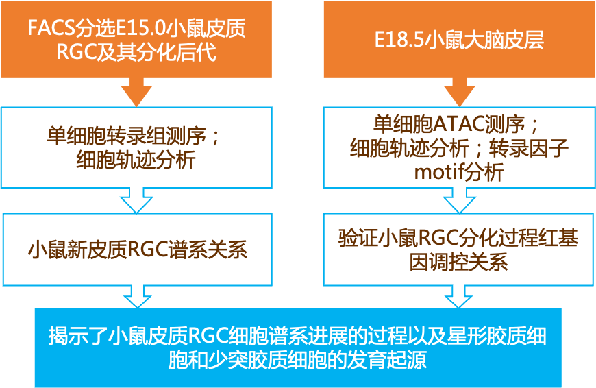 2024新奥门免费资料,决策信息解释_nShop80.124