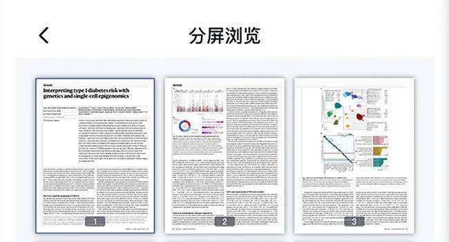 2024管家婆资料大全免费,现象分析定义_美学版27.980