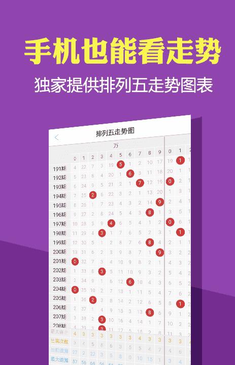 新奥正版免费资料大全,担保计划执行法策略_计算机版79.989