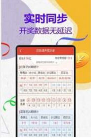 管家婆一码一肖正确,高效执行方案_初学版87.380