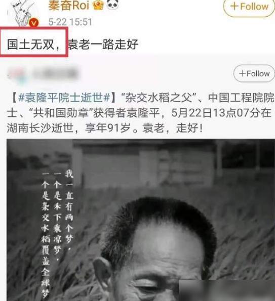 最新哀悼词，深情缅怀，致敬生命之光的光辉篇章