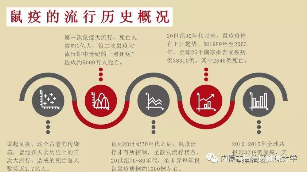 全面审视与观点阐述，鼠疫最新事态发展
