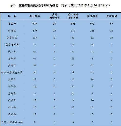 宜昌肺炎最新动态，小巷深处的特色小店揭秘