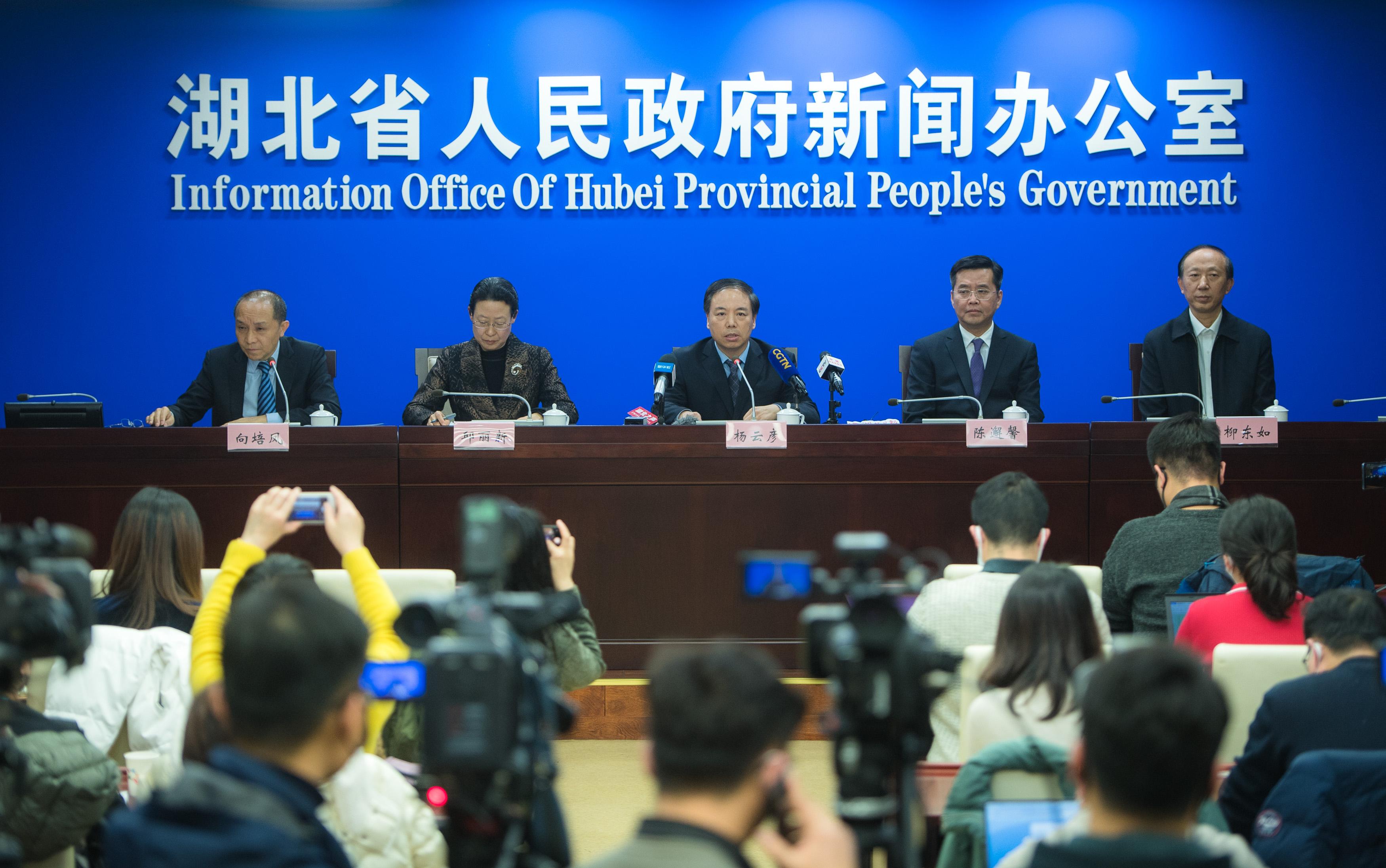 最新冠状病毒报告更新，疫情最新动态与数据分析