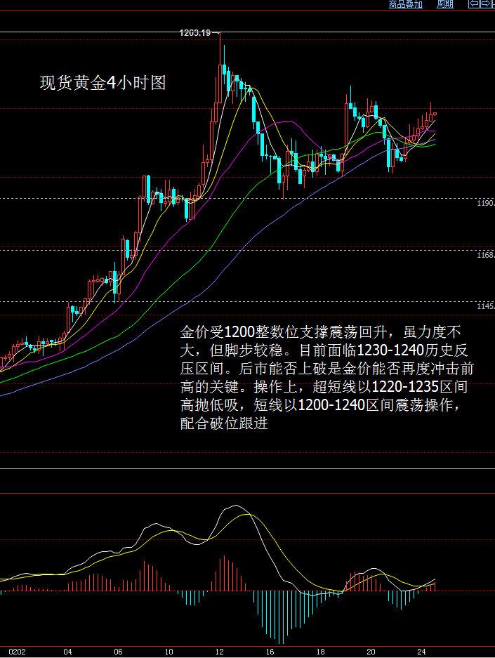 现货黄金操作建议与探索心灵黄金之地的旅行探索
