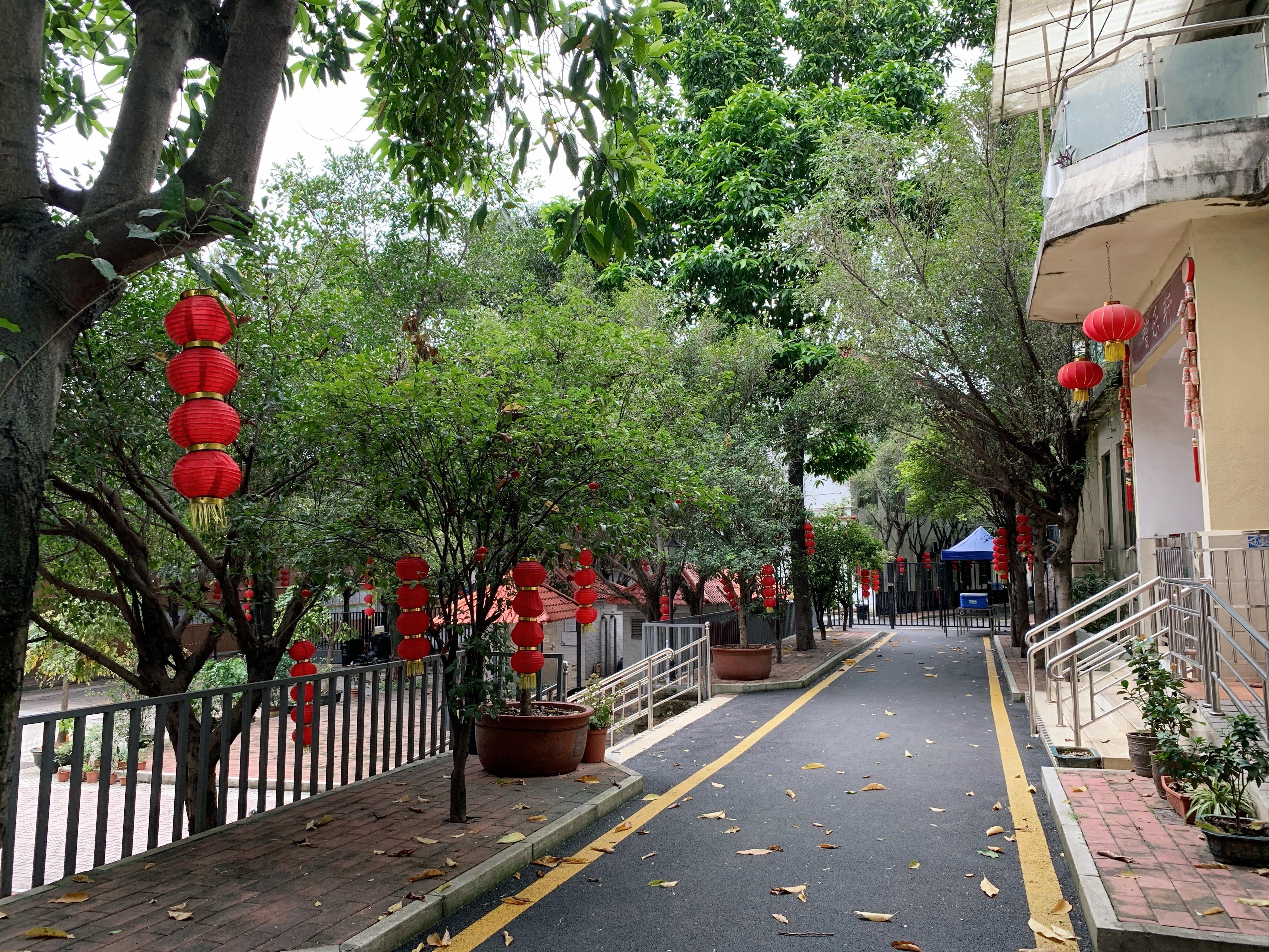 广州最新老年资讯,广州最新老年资讯，老年生活技能学习指南