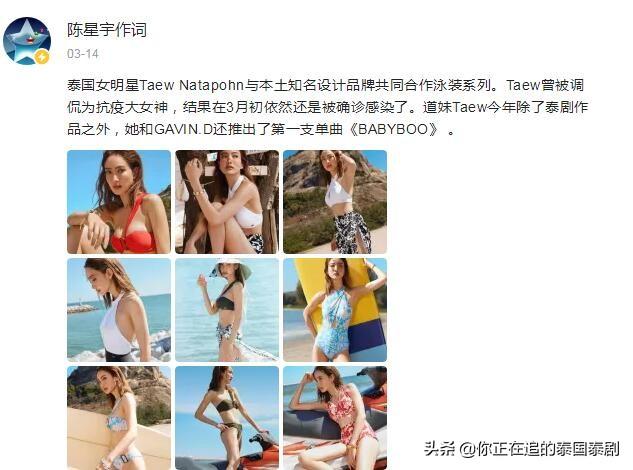 道妹新动态，文化现象的深度解读与探讨