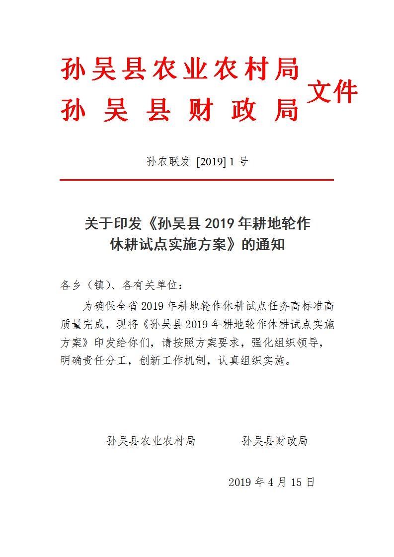 孙吴最新公告，小巷深处的独特风味探秘之旅