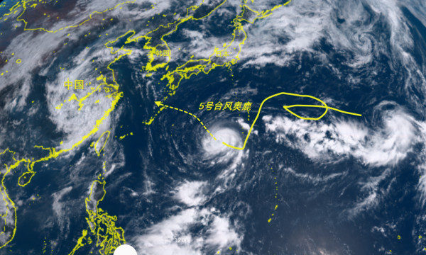 日本台风奥鹿最新动态，风雨中的温馨日常