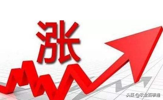 磷肥价格走势揭秘，市场趋势、影响因素与行业前景展望