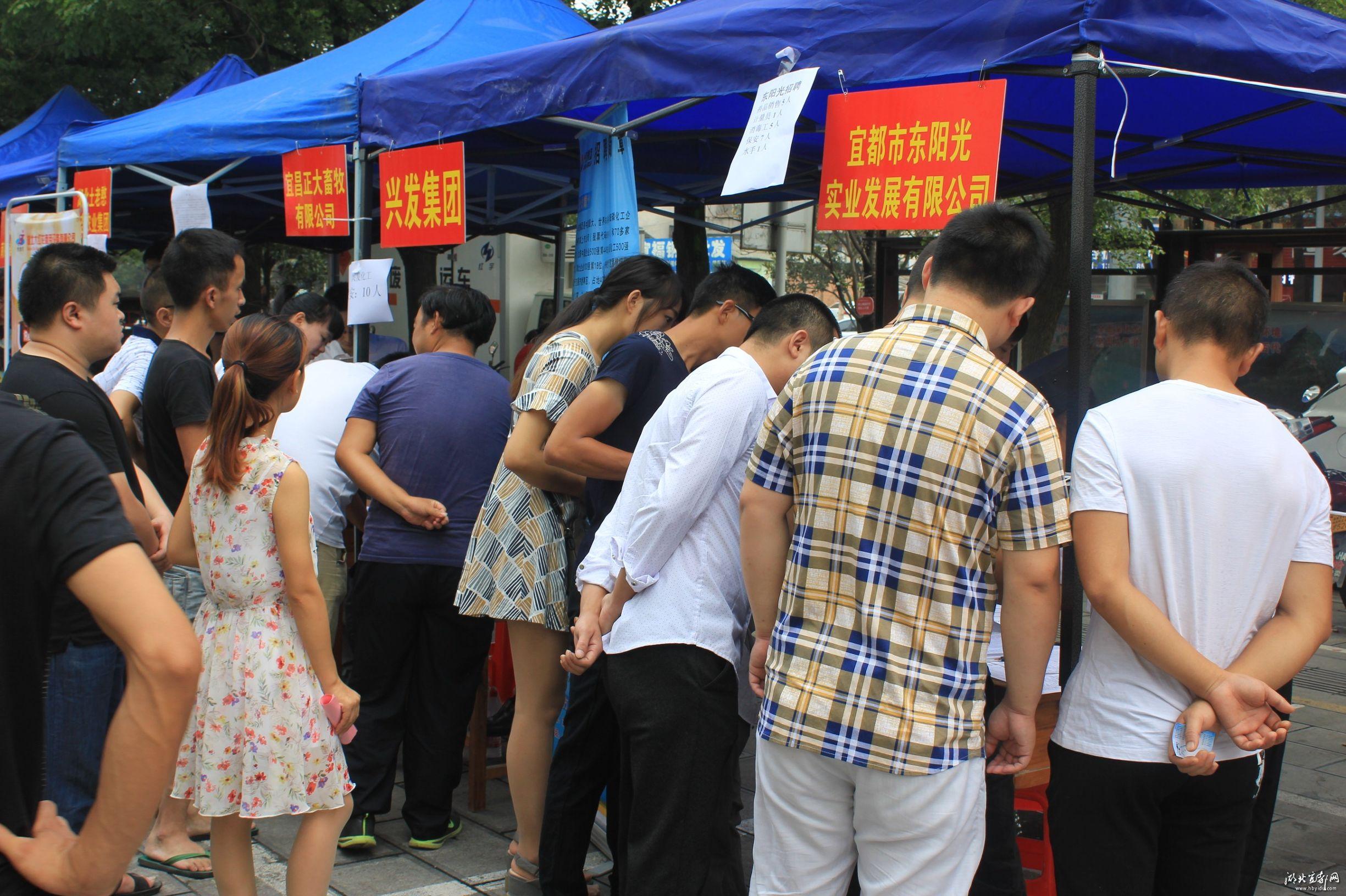 宜都市最新职位招聘，与自然共舞，探寻内心宁静之旅