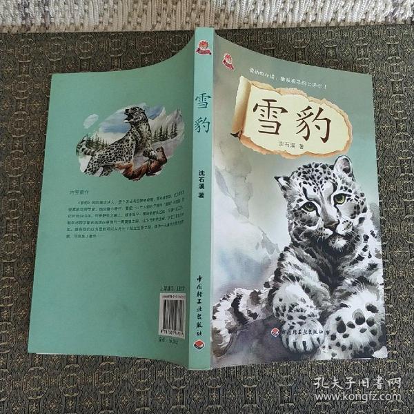 雪豹最新小说，神秘世界奇幻之旅探寻