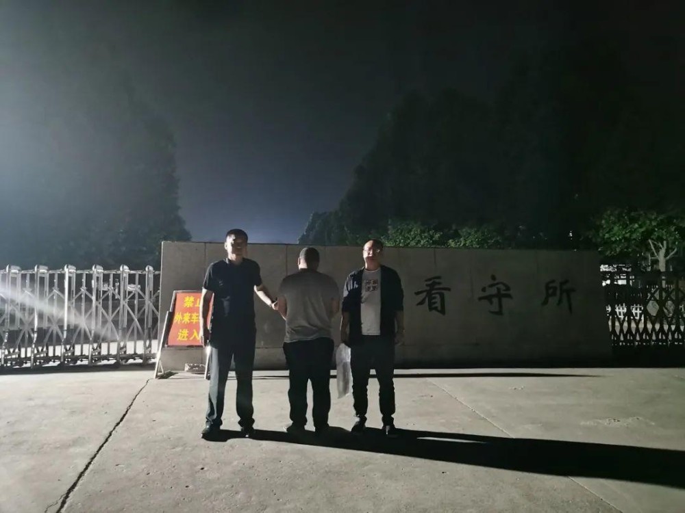 山东母亲被侮辱事件最新进展，自然美景中的心灵反思之旅