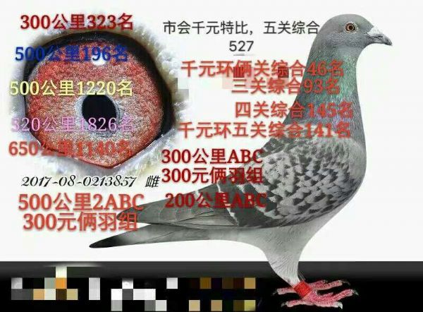 榆树五棵树招聘信息，小巷独特风味小店等你来加入！