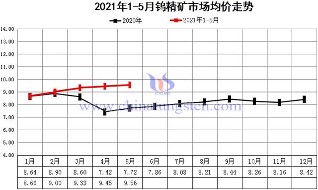 钨精矿最新市场价格揭秘，小巷深处的宝藏探秘之旅