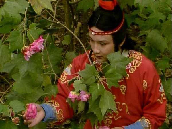 最新怡红院版本，变化中的学习，自信塑造未来
