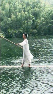 番茄小说最新版，数字阅读的新纪元