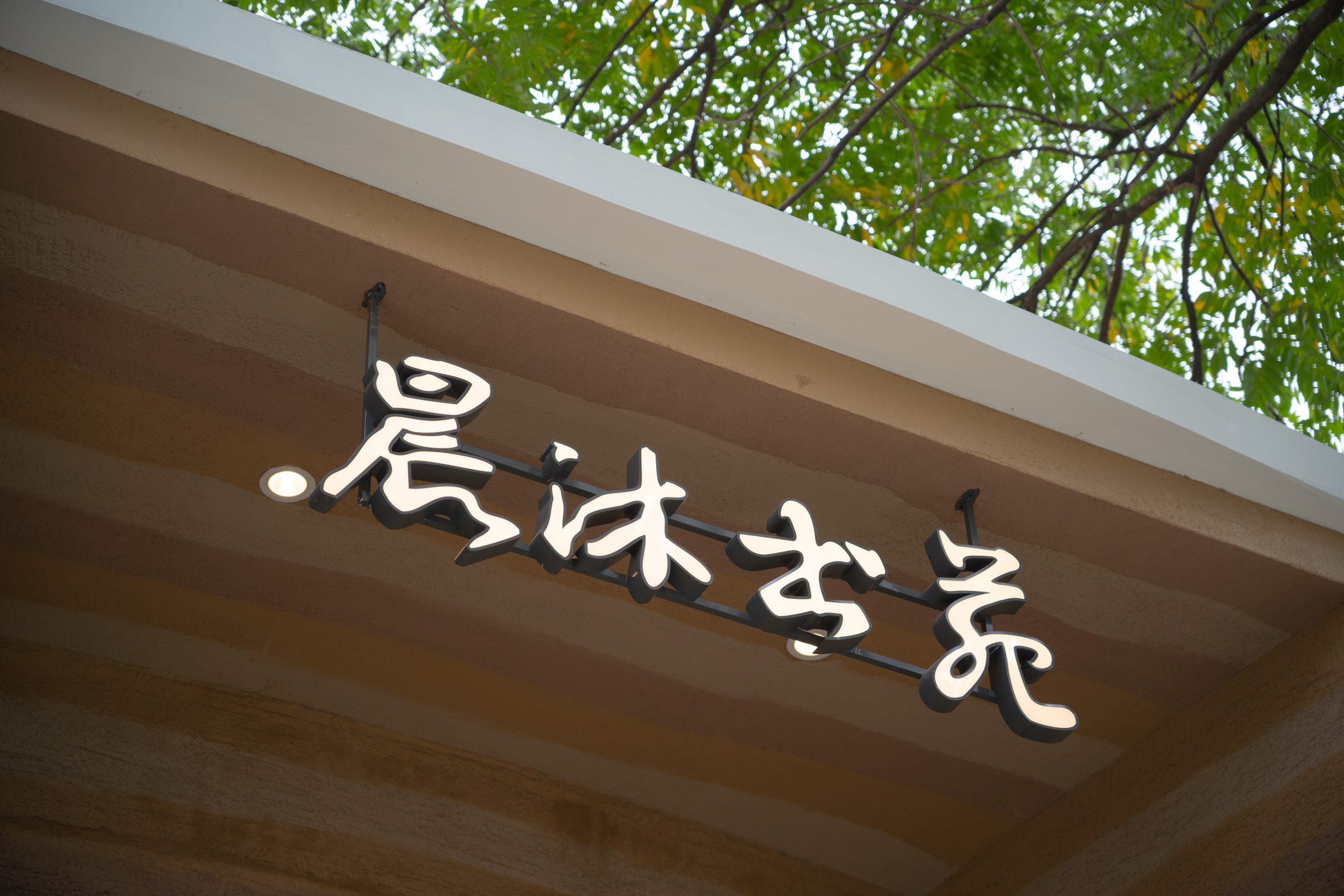水沐晨光，涓涓细流汇成知识海洋，等你来游章节更新阅读