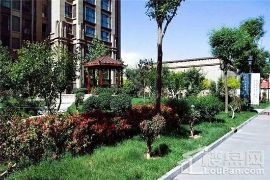 鹿城一号最新住宅价格动态，风景变化中的学习力量与居住新篇章