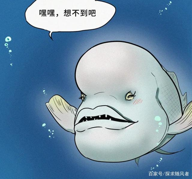 小巷深处的独特小店，奇葩鱼动漫在线