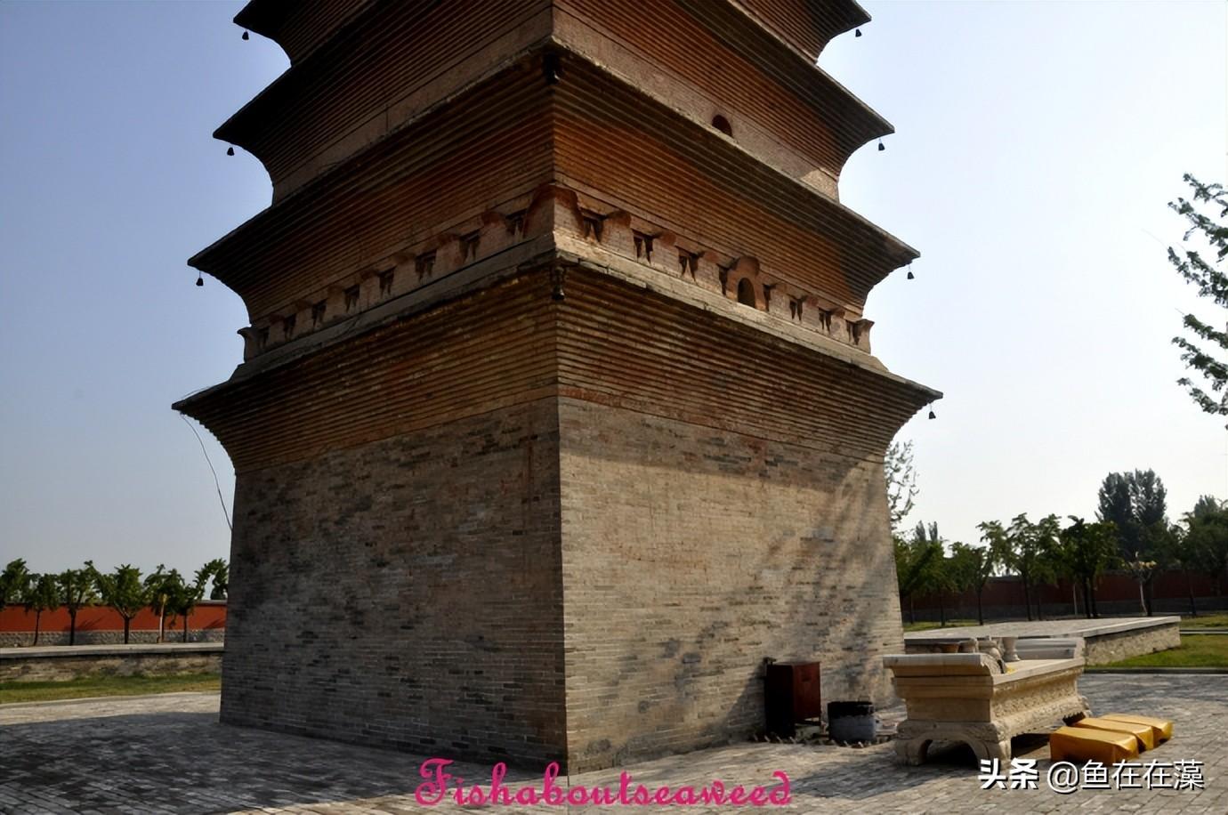 武陟妙乐寺最新动态揭秘，参观指南与技能学习全攻略
