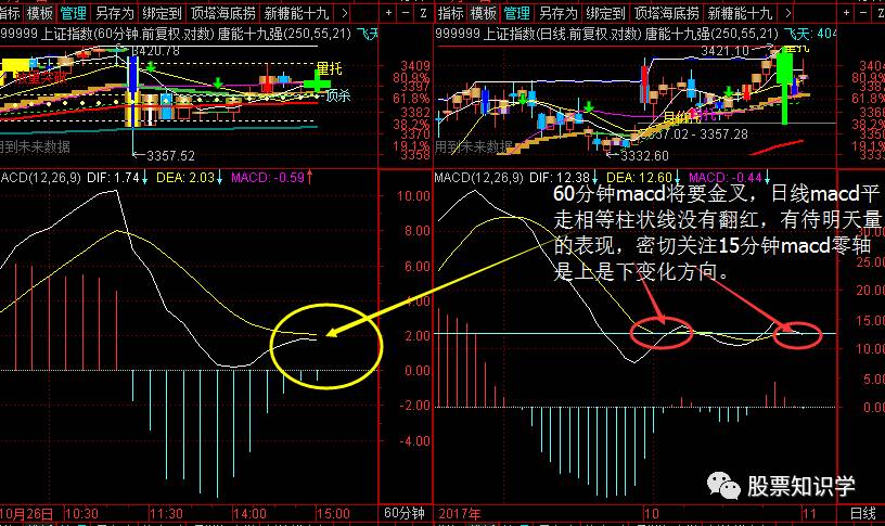 新海宜股票行情深度分析，最新动态与走势预测