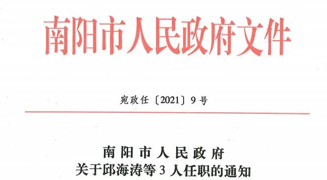 南阳人事任免资讯深度解析与观点论述