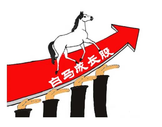 白马股动态，股市新星闪耀，你准备好投资了吗？