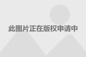 章子怡最新照片，国际影星的璀璨风采亮相惊艳瞬间