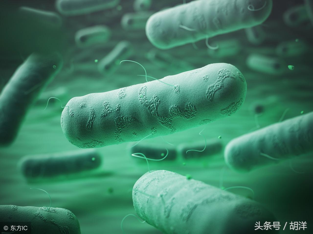 最新抗结核药物，自然美景的心灵疗愈之旅