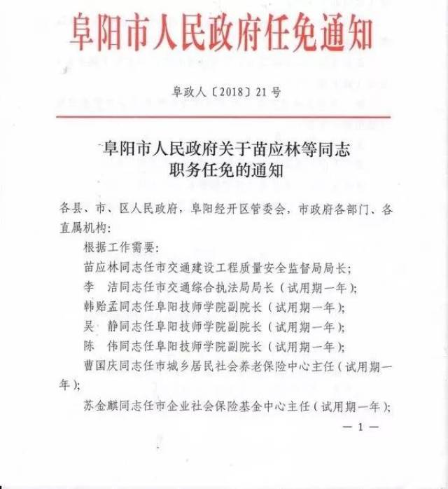 阜阳市人事任免更新，背后隐藏的温馨故事浮出水面