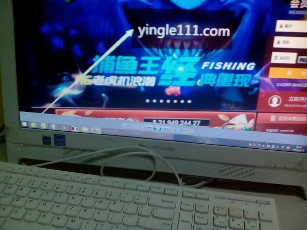 导热油旋转接头 第177页