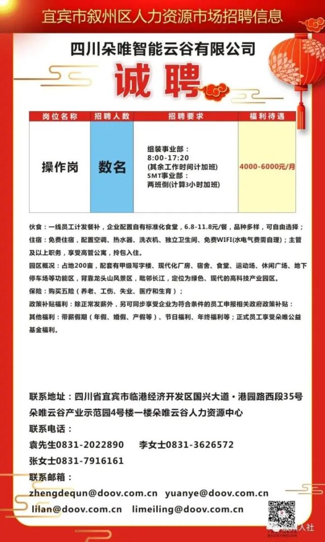 棋盘井最新招聘信息概览，岗位更新与求职指南