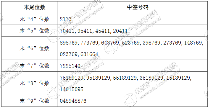 最新股中签号解读与观点阐述，新股中签揭秘及影响分析