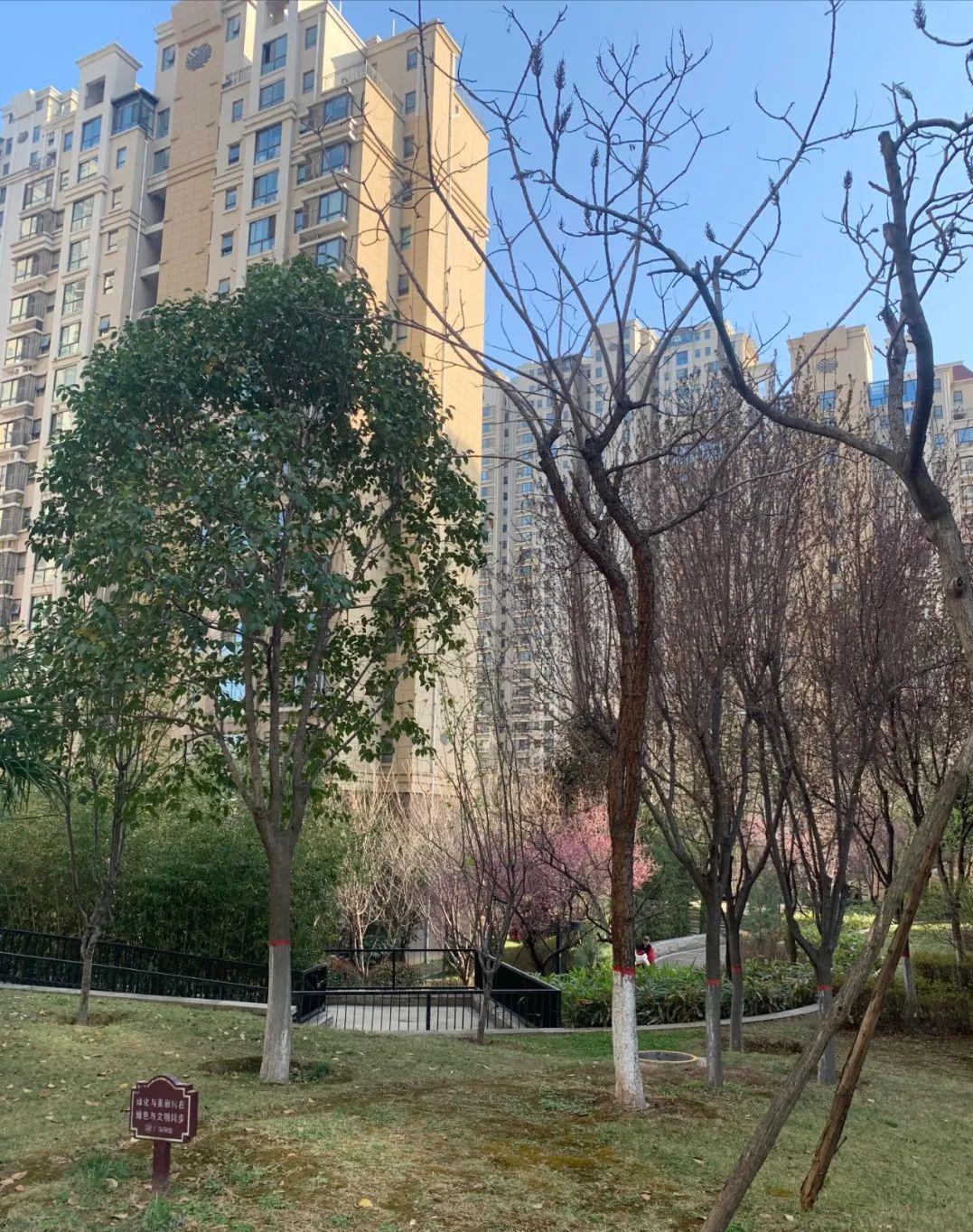 西安不限购区域动态，城市变迁与学习同步