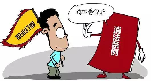 职业打假人最新法律解析与观点论述