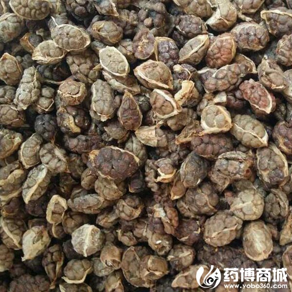 益智仁最新价格行情，变化中的学习，展现自信与成就的力量